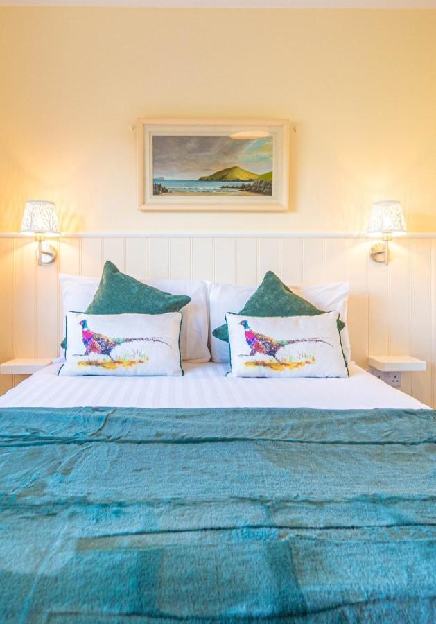 Ashe'S Accommodation Dingle Exteriér fotografie